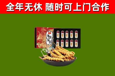 东区烟酒回收冬虫夏草礼盒.jpg