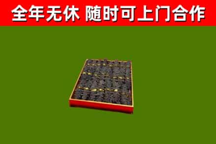 东区回收海参